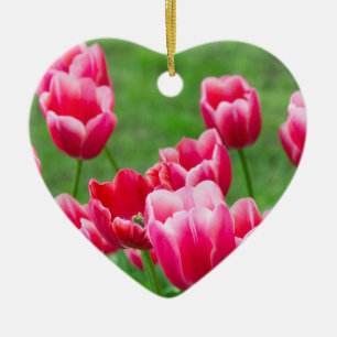 Adorno De Cerámica Lindos tulipanes escarlatas en el jardín