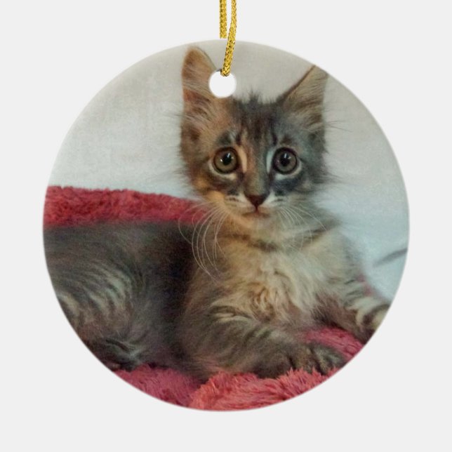 Adorno De Cerámica Linus (Frente)