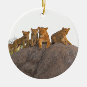 Adorno De Cerámica Lionesa Con Cubos, El Serengeti.