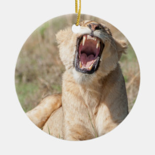 Adorno De Cerámica Lionesa menguante