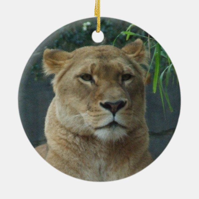 Adorno De Cerámica Lioness Ornament (Atrás)
