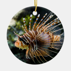 Adorno De Cerámica Lionfish de Antennata Broadbarred Firefish del