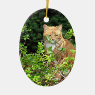 Adorno De Cerámica Lizzie, el gato, en el jardín