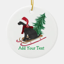 Lluvia personalizada de Black Lab