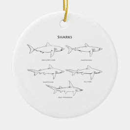 Adorno De Cerámica Logotipo de la especie de los tiburones