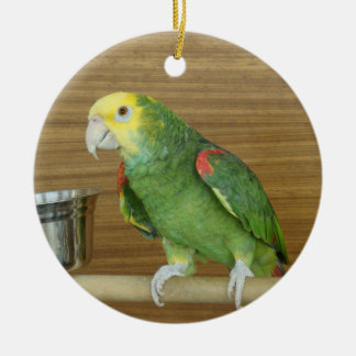 Adorno De Cerámica Loro Amarillo-Dirigido del Amazonas