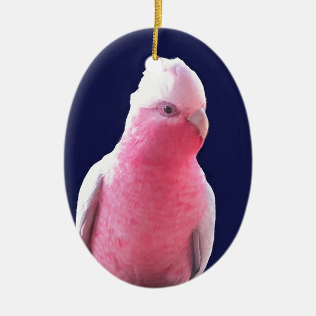 Adorno De Cerámica Loro australiano rosa y gris perezoso (Frente)