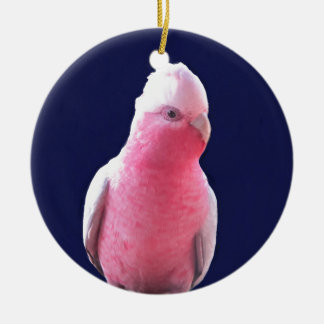 Adorno De Cerámica Loro australiano rosa y gris perezoso
