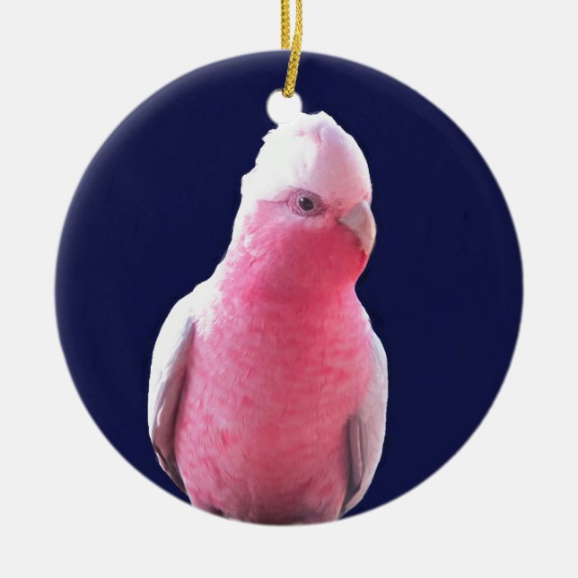 Adorno De Cerámica Loro australiano rosa y gris perezoso (Frente)