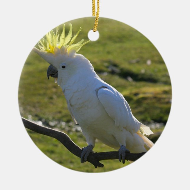 Adorno De Cerámica Loro de Cockatoo amarillo y blanco (Frente)