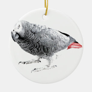 Adorno De Cerámica Loro del "gris africano"