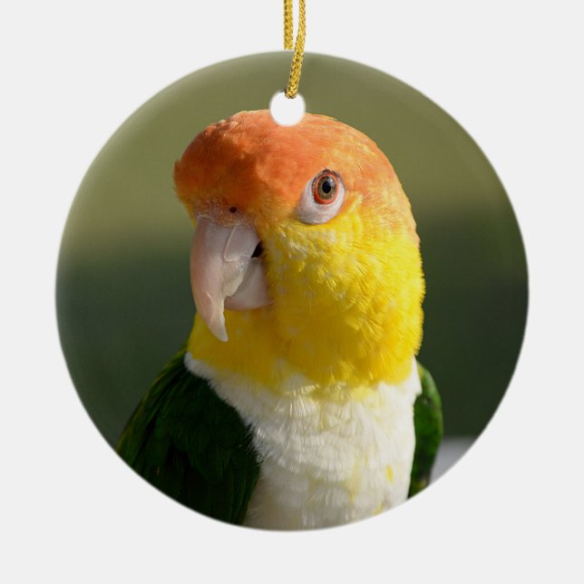 Adorno De Cerámica Loro hinchado blanco lindo del caique (Frente)