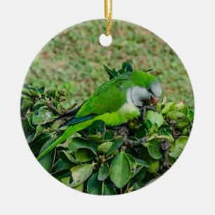 Adorno De Cerámica Loro verde