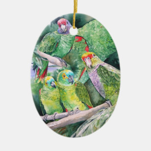Adorno De Cerámica Loros en peligro de la selva tropical atlántica
