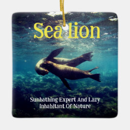 Adorno De Cerámica Los leones marinos bajo el agua