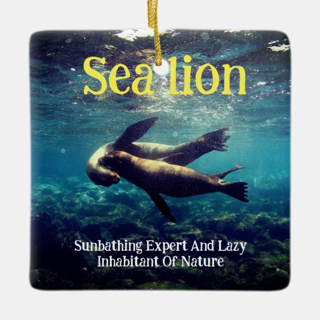 Adorno De Cerámica Los leones marinos bajo el agua (Anverso)