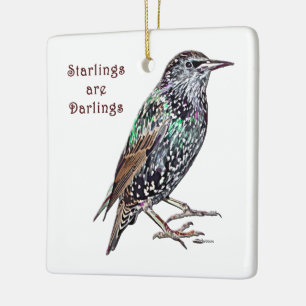Adorno De Cerámica Los Starlings Son Darlings