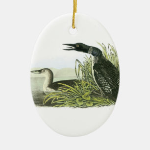 Adorno De Cerámica Lote común de Audubon