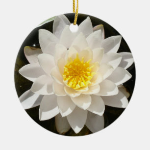 Adorno De Cerámica Loto de Nenúfar Blanco Flotante