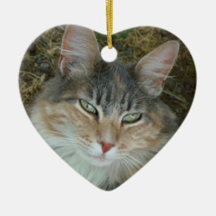 Adorno De Cerámica Lulu el gato