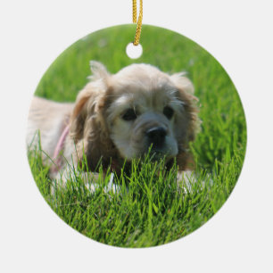 Adorno De Cerámica Luna