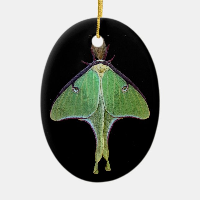 Adorno De Cerámica Luna Moth (Frente)