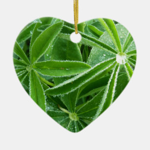 Adorno De Cerámica Lupin deja fotografía botánica