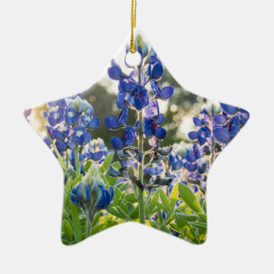 Adorno De Cerámica Lupino Flores Azules Bluebonnets Texas Texano