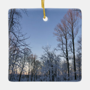 Adorno De Cerámica Luz de invierno matutina I