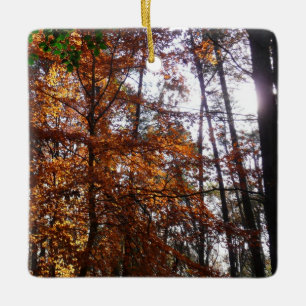 Adorno De Cerámica Luz solar a través de un árbol de otoño en Greenbe