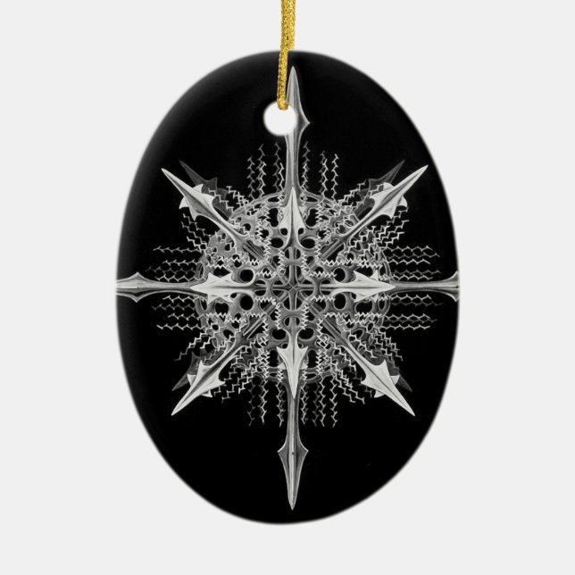 Adorno De Cerámica Lychnaspis miranda Ernst Haeckel Bella Artes (Frente)