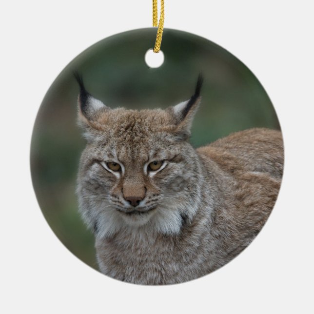 Adorno De Cerámica Lynx Mirándote (Frente)