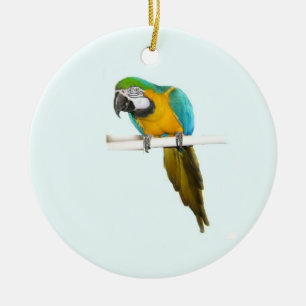 Adorno De Cerámica Macaw del azul y del oro
