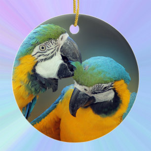 Adorno De Cerámica Macaws enamorados