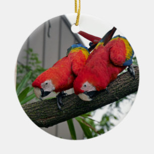Adorno De Cerámica Macaws Rojos 2.JPG