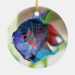 Adorno De Cerámica Macropodus Opercularis Aquarium Fish