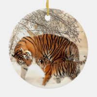 Madre y gatito siberianos