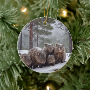 Adorno De Cerámica Madriguera congelada: familia de wombats australia
