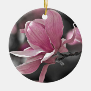 Adorno De Cerámica Magnolia de Saucer Rosa Japonesa