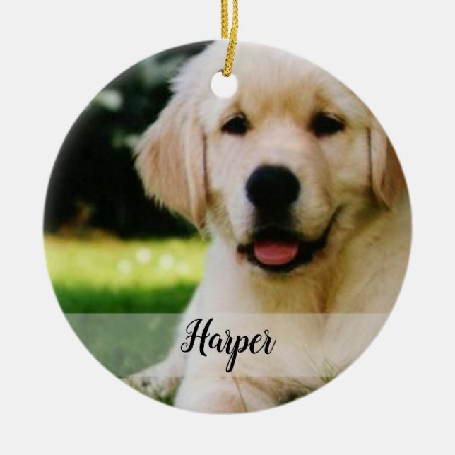 Adorno De Cerámica Make Your Own Pet Ornament (Frente)