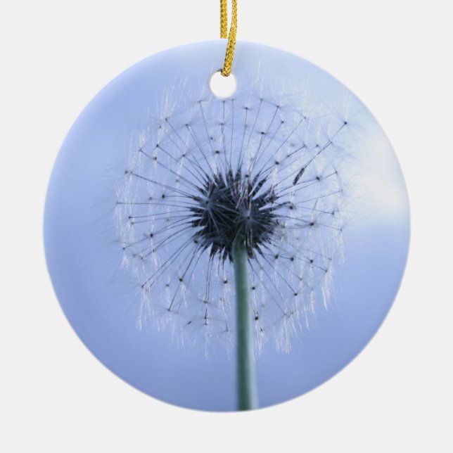 Adorno De Cerámica Makin' Wings (Frente)