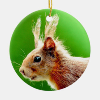 Adorno De Cerámica Mala ardilla del día del pelo