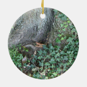 Adorno De Cerámica Maletero de árbol y hiedra en el bosque