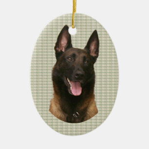 Adorno De Cerámica malinois belga