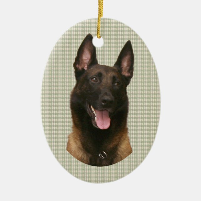 Adorno De Cerámica malinois belga (Frente)