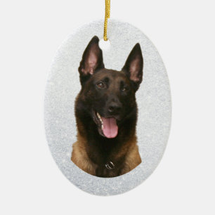 Adorno De Cerámica malinois belga