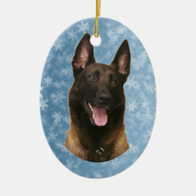 Adorno De Cerámica malinois belga (Frente)