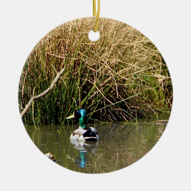 Adorno De Cerámica Mallard Drake Ornament (Frente)