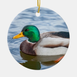Adorno De Cerámica Mallard Duck