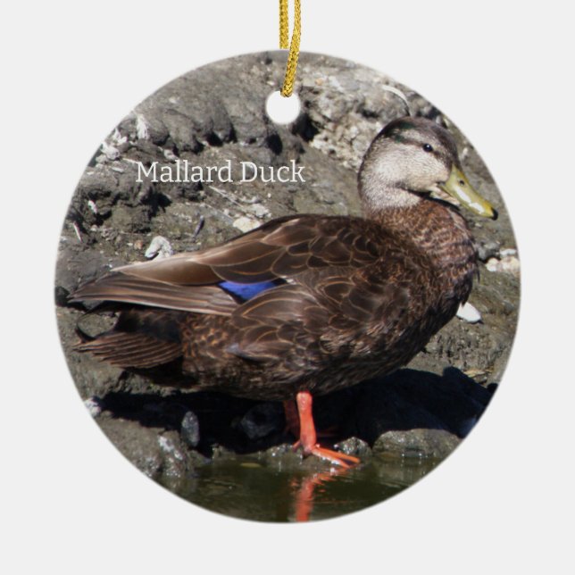 Adorno De Cerámica Mallard Duck Ornament (Frente)